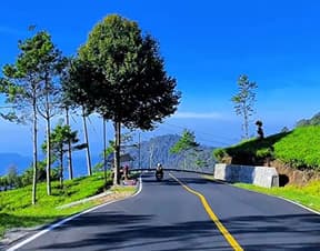 Chandigarh to Narkanda One-Way Taxi – Himachal Travel