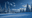 winteroffer