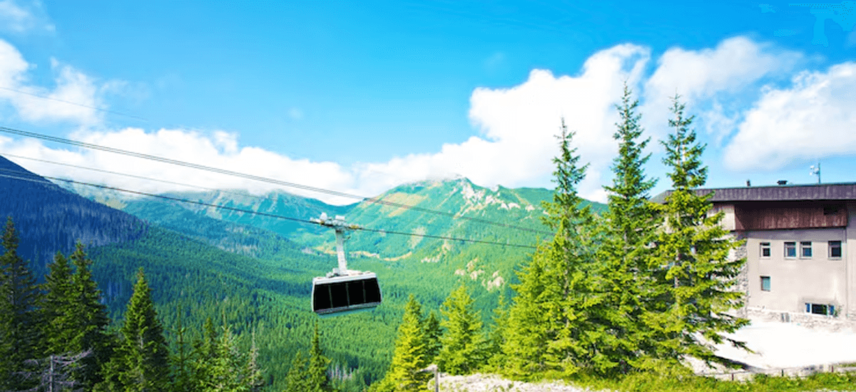 Shimla Kufri Chail Narkanda 5 Nights 6 Days Tours Package - Main Image