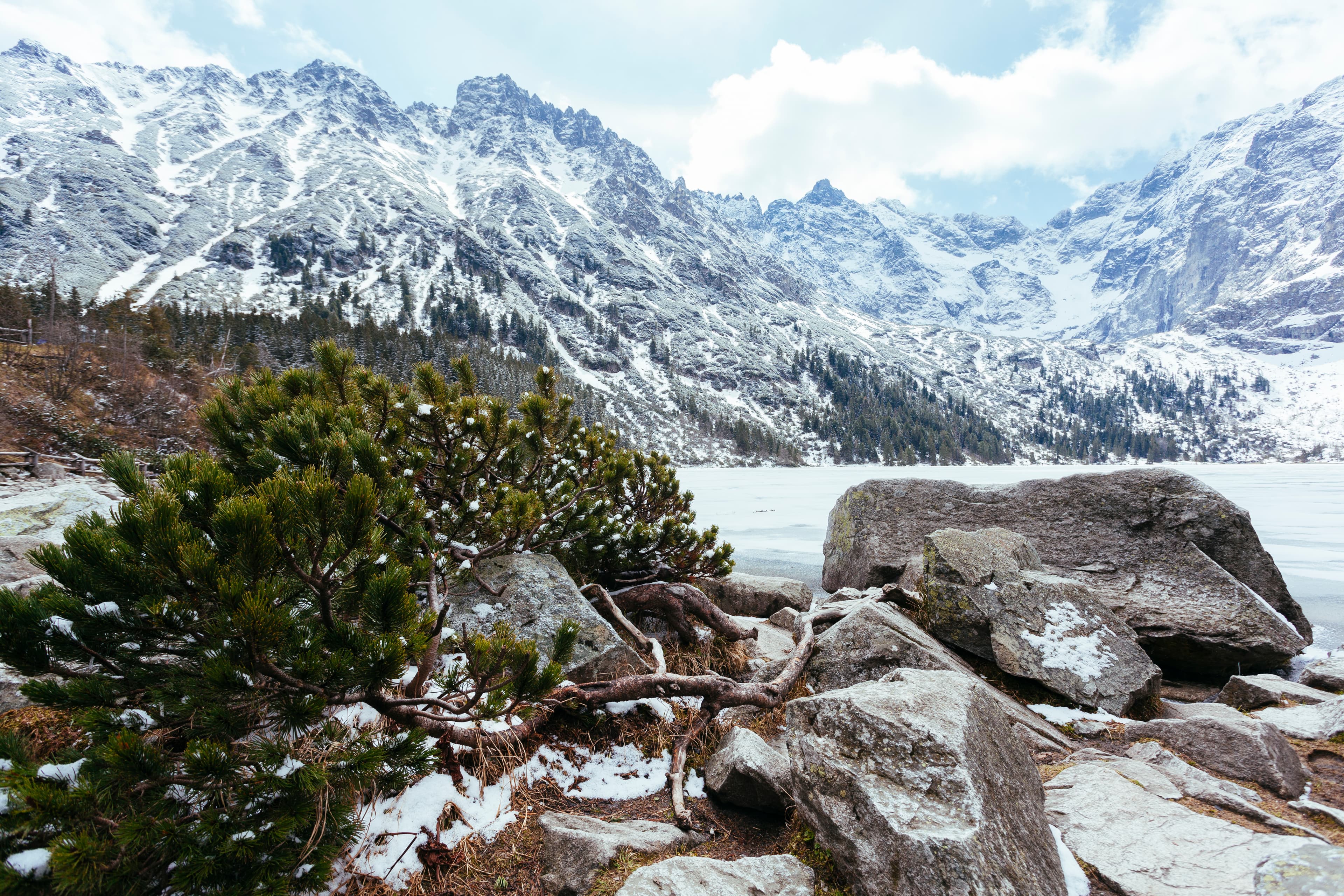 Sarahan Sangla Kalpa Tabo Kaza Chandratal – 10 Nights 11 Days Scenic - Main Image