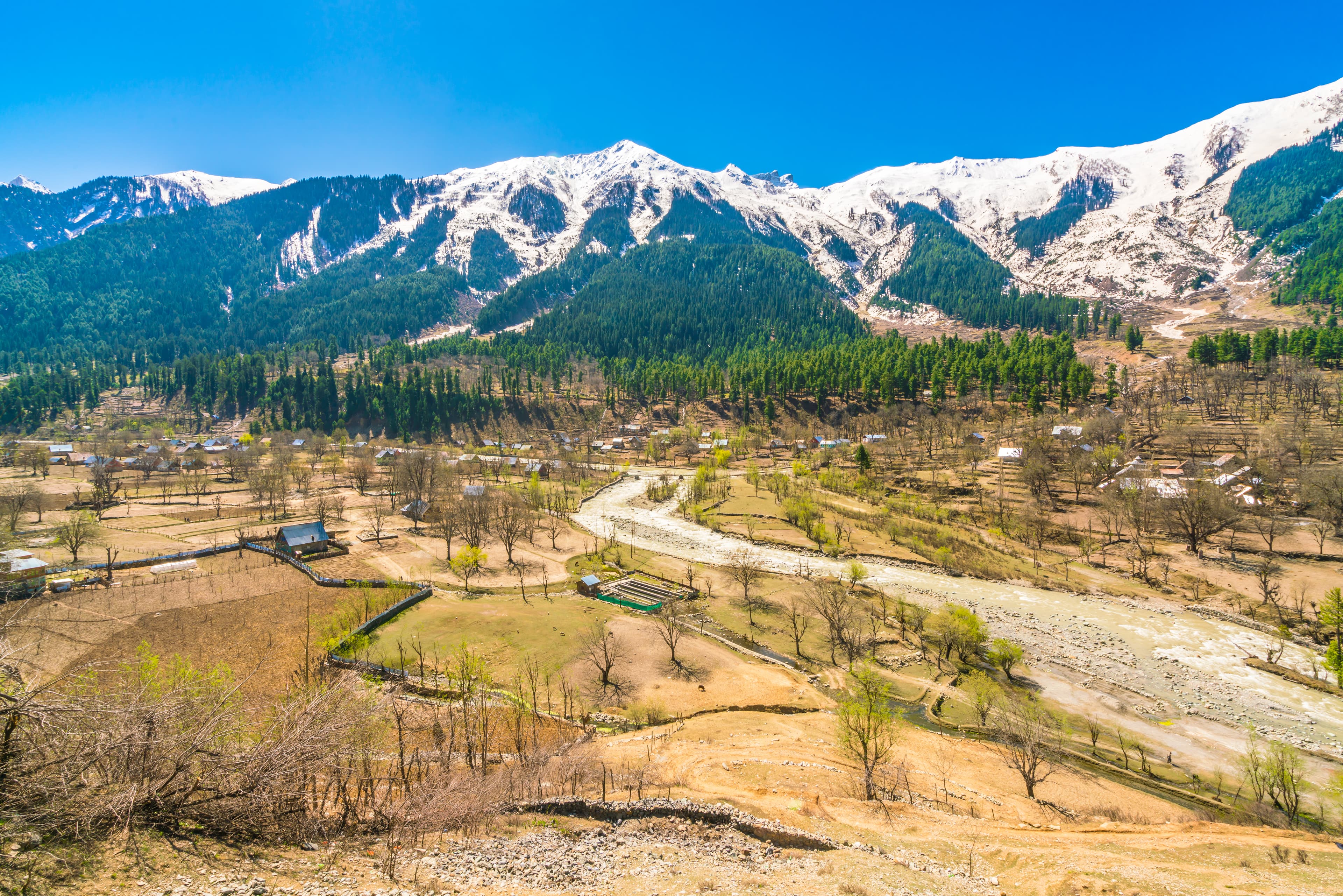 Narkanda Sangla Kalpa Shimla 8 Nights 9 Days - Third Image
