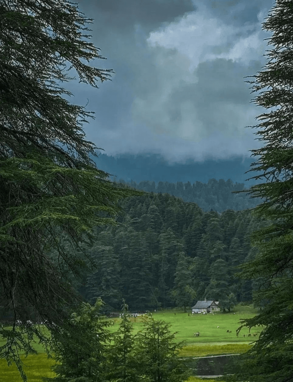 Dalhousie Khajjiar Chamba Volvo Bus Tour – Himachal Hills - Third Image