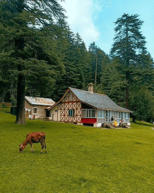 Dharamshala Palampur Bir Billing Volvo Tour – Hill Escape
