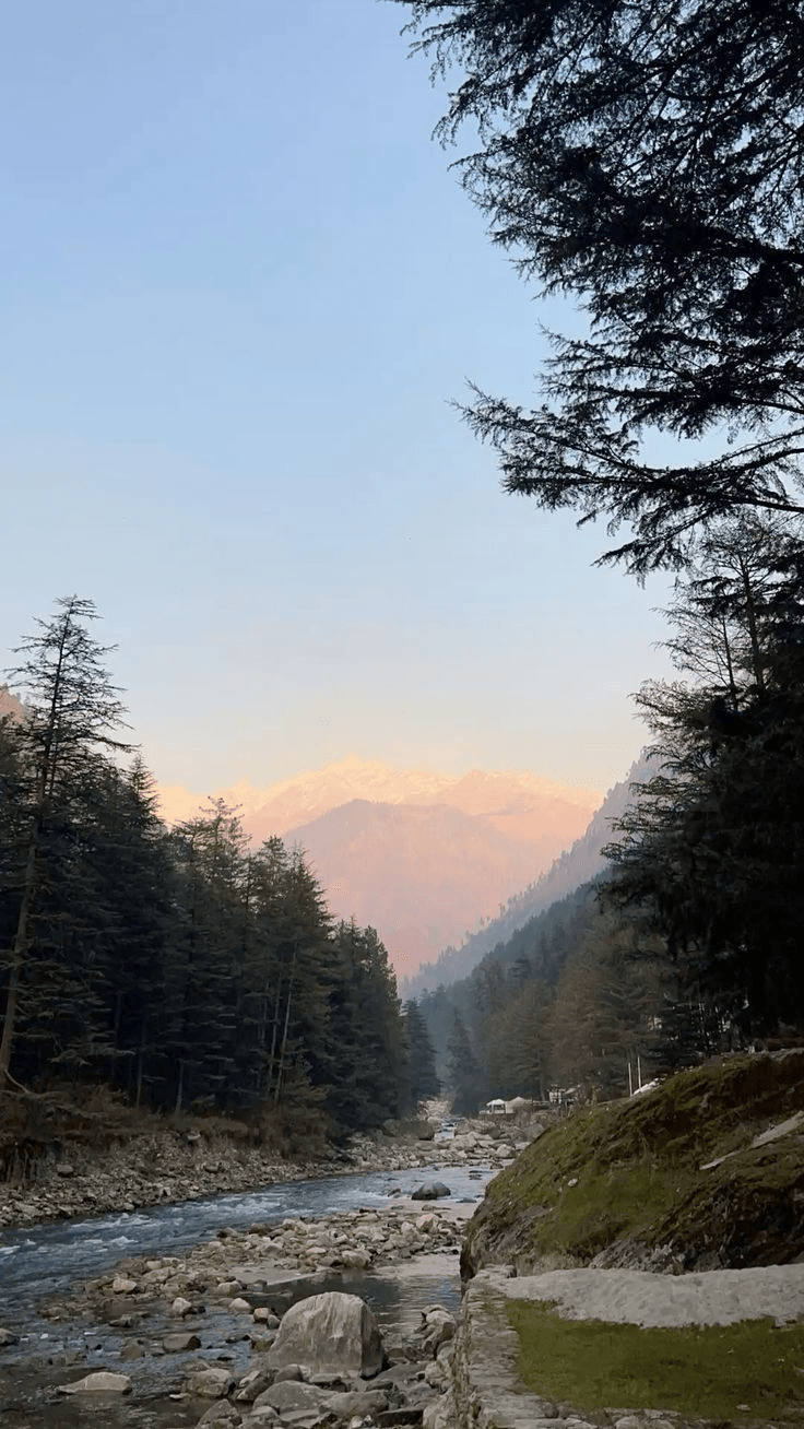 Manali Shimla 5 Nights 6 Days Tour Package - Exhibit