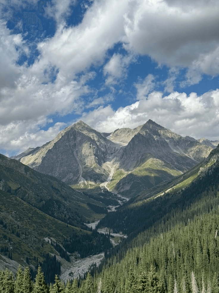Manali Shimla 5 Nights 6 Days Tour Package