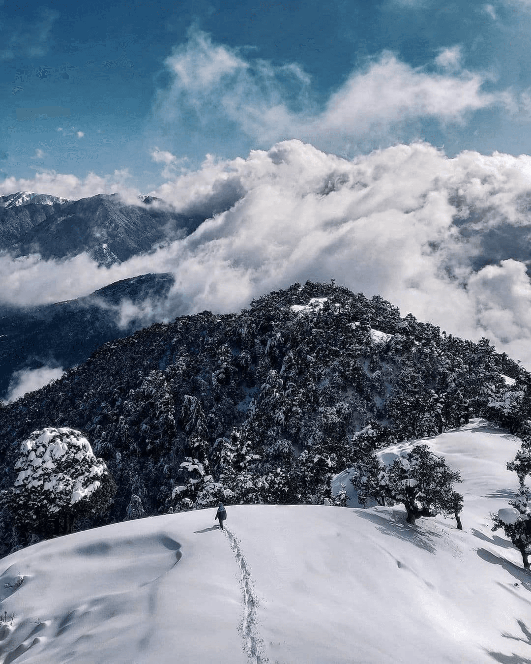 Brahmatal Trek – 6 Days / 5 Nights