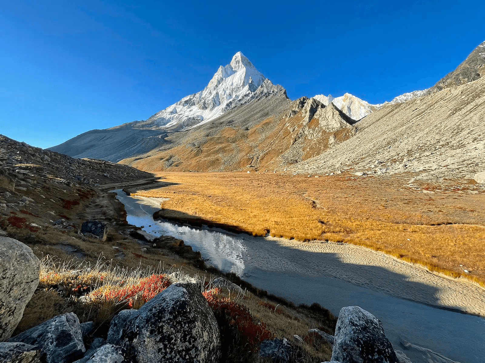 Gomukh Tapovan Trek – Uttarakhand