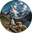 pilgari-home-page