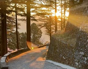 Shimla Taxi Tour (Local Places)